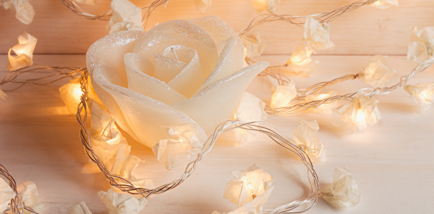 fairy lights 